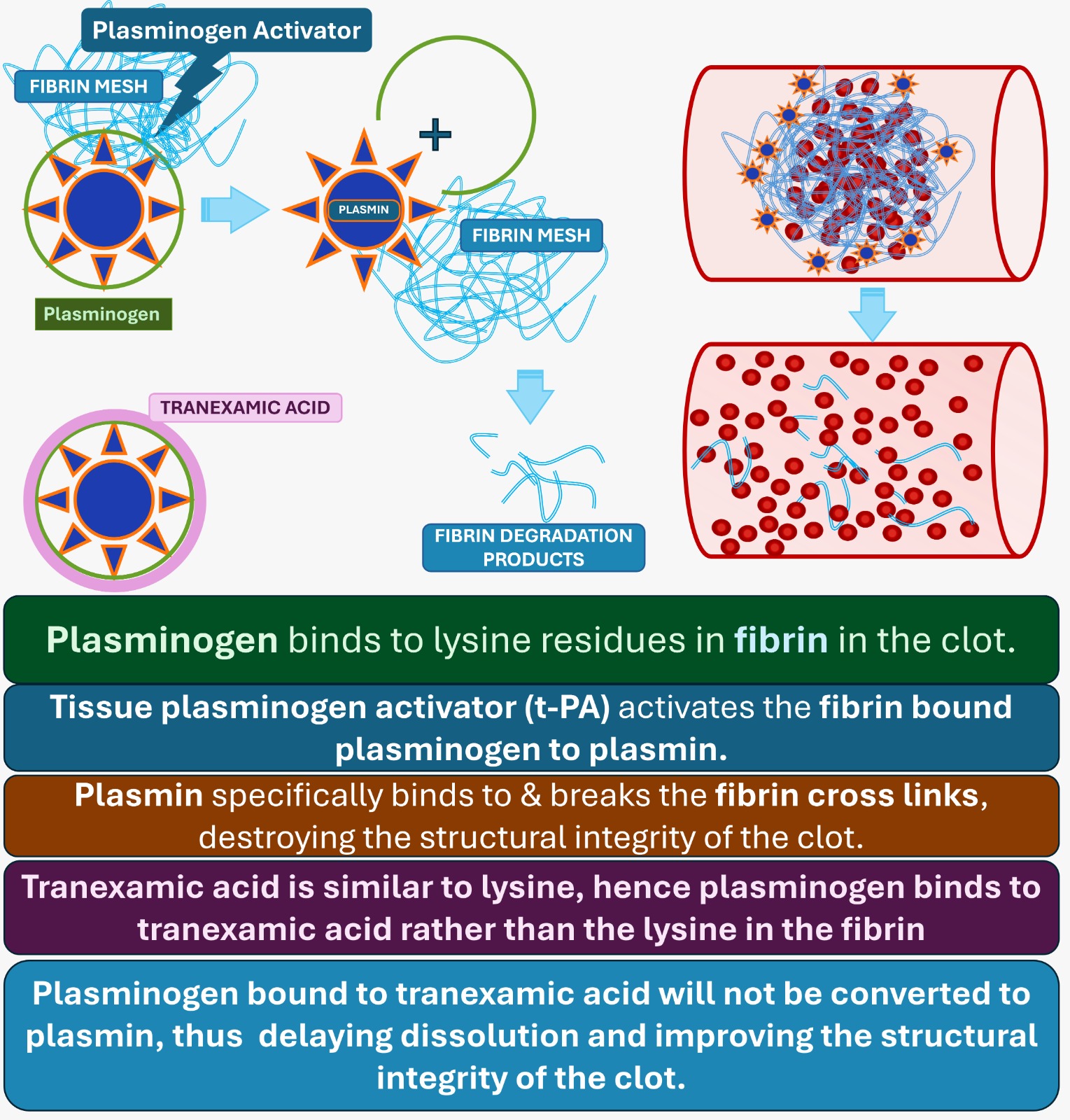 Explanation Image